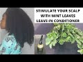 How to Stimulate your scalp with mint leaves leave-in conditioner for rapid hair growth