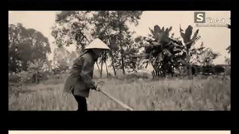 Nhạc chế- Mẹ ơi con xin lỗi