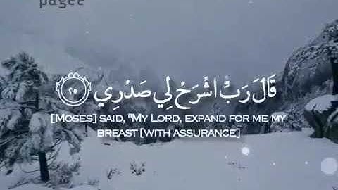 قال ربي اشرح لي صدري | الآية ٢٥+٢٦+٢٧+٢٨📢📖🙌❤💔✨❤