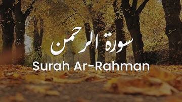 سورة الرحمن للشيخ علي البراق | المصحف المرتل