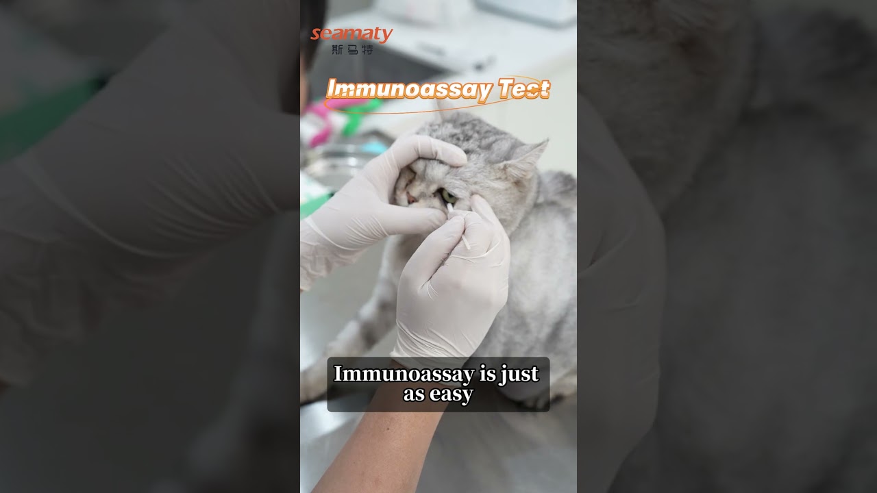 Seamaty VG2 | Veterinary Blood Gas & Immunoassay Analyzer | Quick Operation Guide 