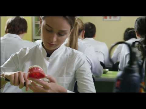 კავკასიის საერთაშორისო უნივერსიტეტი