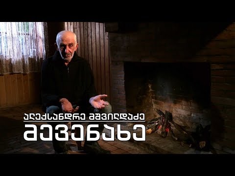 ეპოქის ფრაგმენტები. ალექსანდრე მშვილდაძე - მევენახე