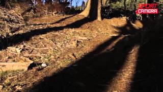 Seagull 4000 Gimbal Brushless Professionale Per Canon 5D, Blackmagic E Dslr Pronta Alluso