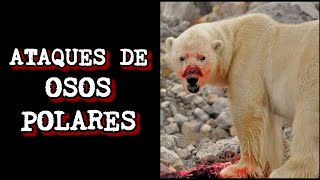 Ataques de Osos Polares | Polar Bear hunting HUMAN PREY