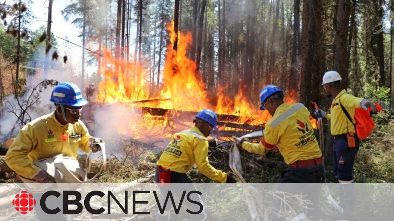 This wildfire season up to now is Canada's worst ever recorded