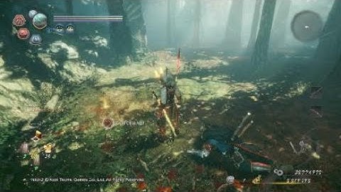 Nioh 2 - Demon Parade Scroll