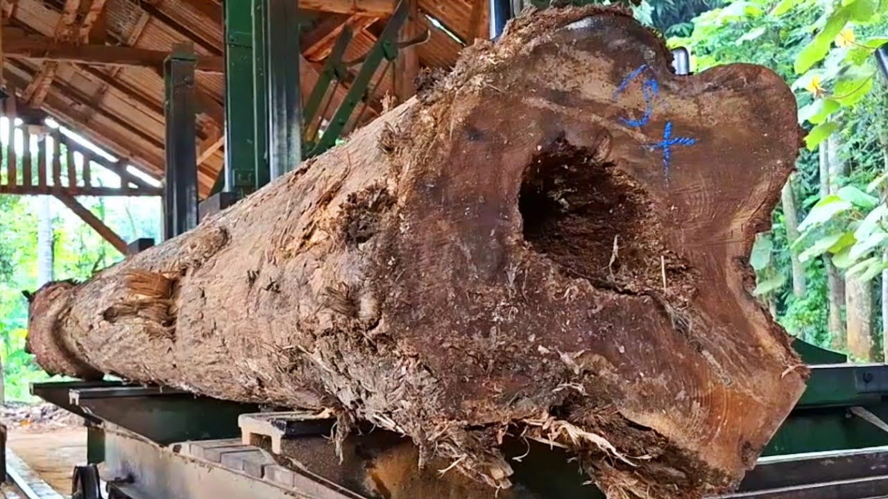 The process of chopping long teak logs into super quality blocks at the sawmill 