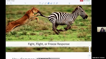 Zoom Video Stress Management May1