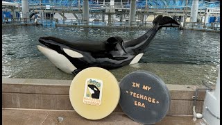 Makaio's 13th Birthday | Killer Whale Up Close (Full Tour) SeaWorld Orlando (10-9-23)