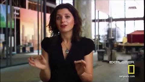 Brain Games-  Context Effect (The Cat)