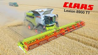 CLAAS Lexion 8900 TT &amp; Convio 1380 | Ernte auf Rügen | Harvest XXL with Biggest Combine