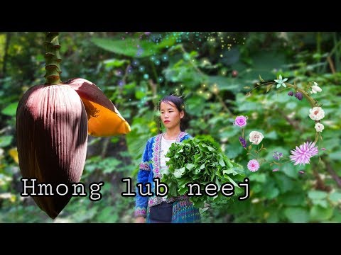 Video: Dab tsi yog Swamp Milkweed: Kawm Txog Swamp Milkweed Cov txiaj ntsig hauv Lub Vaj
