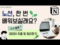 [노션배우기24] 데이터베이스 수식 활용하기 1탄. 데이터 추출하고 정리하기