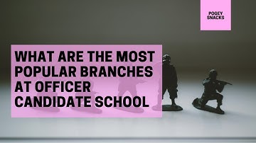 What are the Most Popular Branches at Army OCS