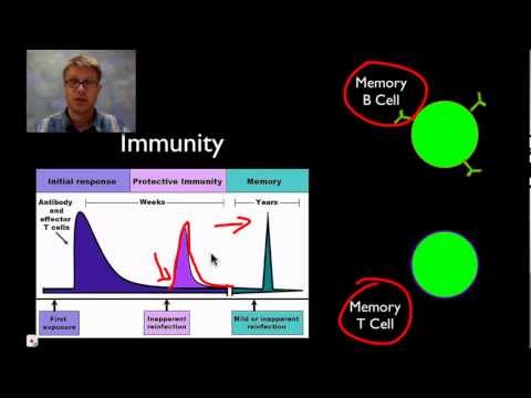 Vídeo: Què és el comportament AP Bio?