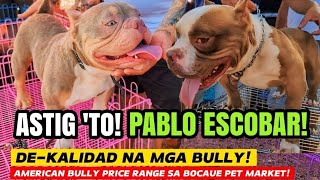 PABLO ESCOBAR NANININDAK SA BCOAUE PET MARKET | AMERICAN BULLY PRICE RANGE PHILIPPINES by Nanay Karen & Tatay Chester Vlogs 6,343 views 2 weeks ago 22 minutes