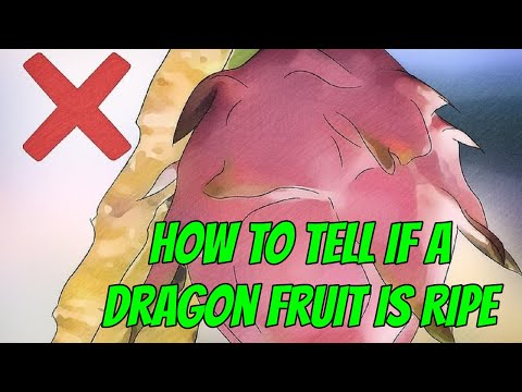 How to Tell