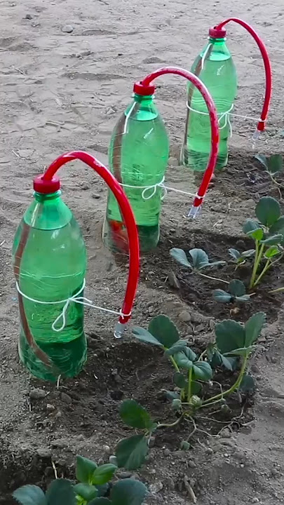 how to make homemade drip irrigation system #gardenideas #dripirrigation #irrigationmethod