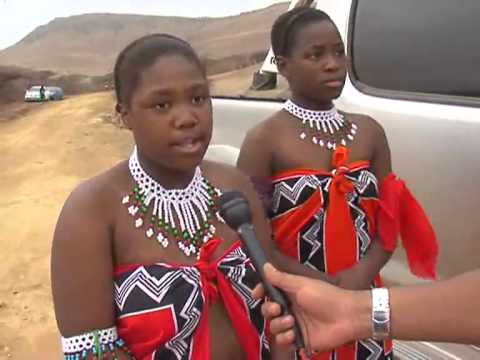 м*е様 セントポーリア PT Reed Dance Reed Dance Celebration In Swaziland Stock Photo - Download