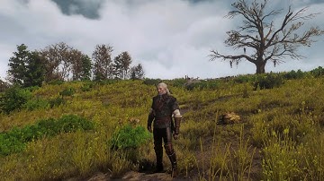 The Witcher 3 | TheWitcher3 Reworked + Verona Lighting Mod + UHG Reshade | Modded Showcase Review