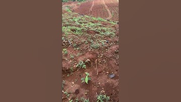 Độ bền thực tế của ống LDPE Nguyễn Tân