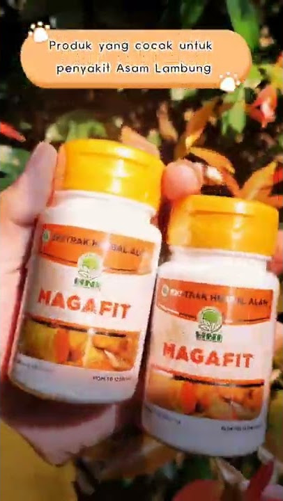Mengatasi Asam Lambung (Resep Herba HNI)