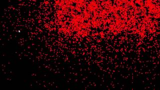 10000 AABB bodies - 90-100 FPS (C++, SFML)