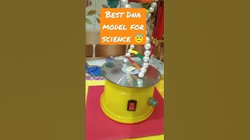 Best DNA Model for School/College/science