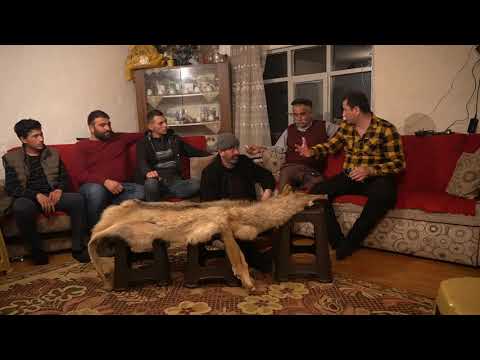 DEV KURDU 5 KÖPEK ZOR BOĞDU ! ( YAŞANMIŞ OLAYLAR 10 ) DEV SİYAH KURT, ÇOBAN,  KANGAL, MALAKLI, AKBAŞ