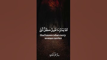 سورة الرعد آيات تلامس القلوب وترقي الأرواح بتلاوة ملهمة | Surah Ar-Ra'd Soul-Stirring Spiritual Ex