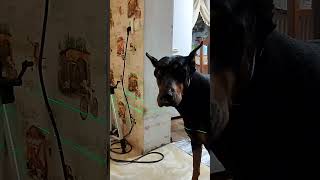 музыкальная пауза!)