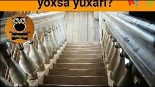 Sizcə bu pilləkan aşığıdır yoxsa yuxarı???