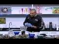 الشيف علاء الشربيني عمل عصير شوكلت كيك