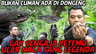 Gak Sengaja Masuk Ke Habitat Ular Naga Endemik Jawa Seolah-Olah Mati Ternyata Hidup 