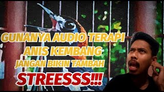 Terapi Suara Anis Kembang Bahan, Macet, Strees, Drop Mental