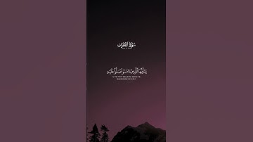 القارئ الشيخ احمد محمد سلامة