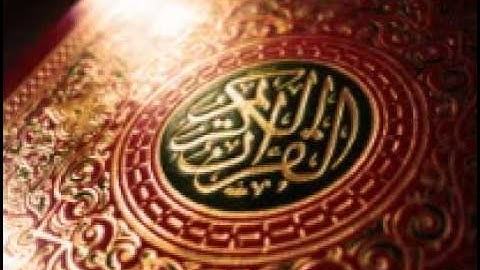 سورة فاطر حاتم فريد