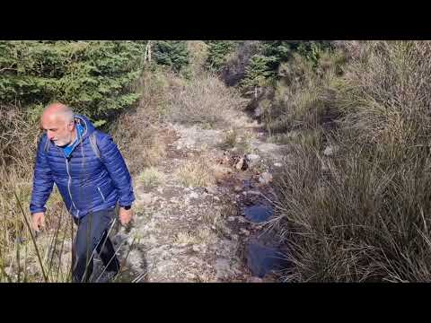 Menalo Trail: Περπατάμε Ζυγοβίστι - Ελάτη!