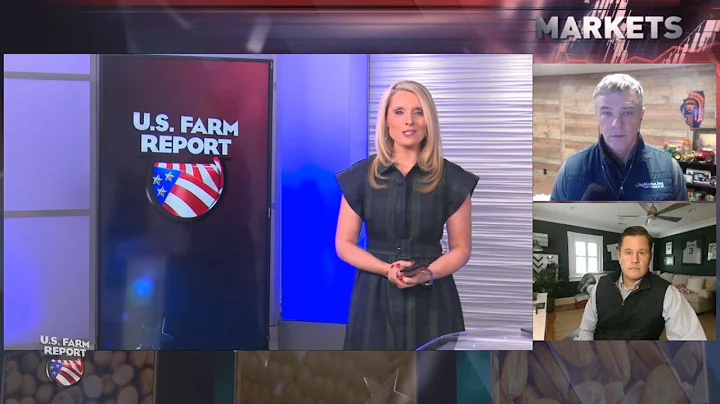 Why Soybeans Are Slumping and Corn Prices Are Stuck