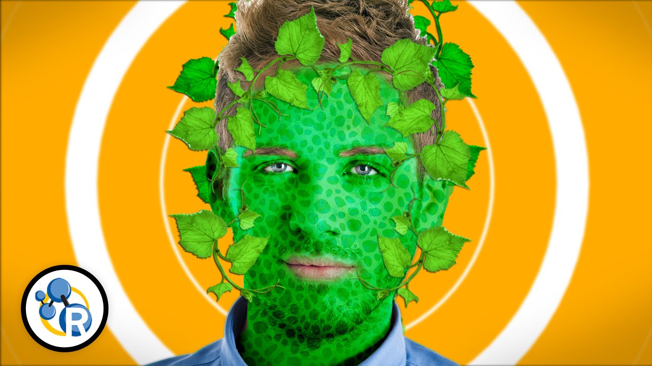 What If Humans Could Photosynthesize?