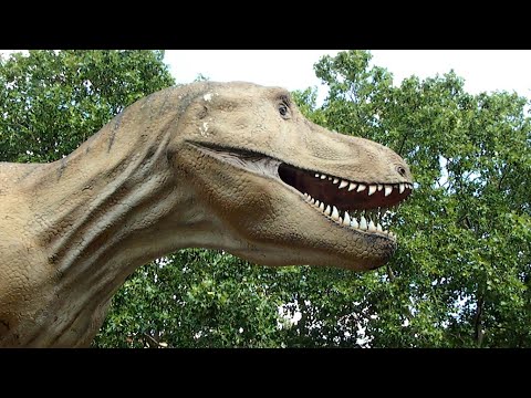 Video: Gibt es allesfressende Dinosaurier?