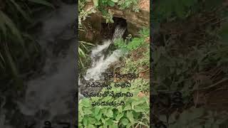 “భూమిని ప్రేమించే వాడే నిజమైన హీరో 👨‍🌾” #ytshorts #telugulife #farmertech#telugumusicalwaves