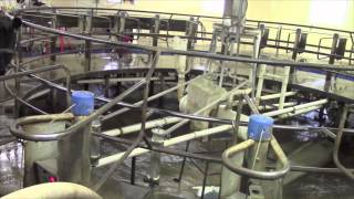 Dairy Farming in Wisconsin