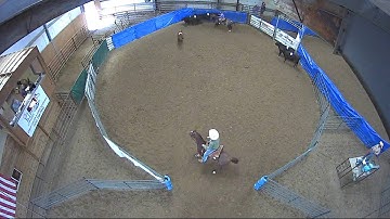 Big Sky Ranch Sorting Saddle Series #4 - YOUTH RANCH HAND - Round #1 - Ride #33