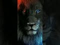 The lion king shorts lionking mufasa