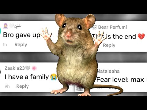 Bro Accepted His Fate Chat Music