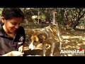 Dog turned rock-solid in tar drum rescued