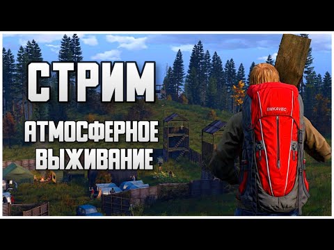 Видео: Атмосферное выживание! Стрим DayZ #shorts #dayz #дейз