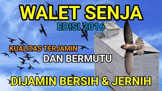Download Suara panggil Kualitas Terjamin, Bermutu, Suara Bersih dan Jernih